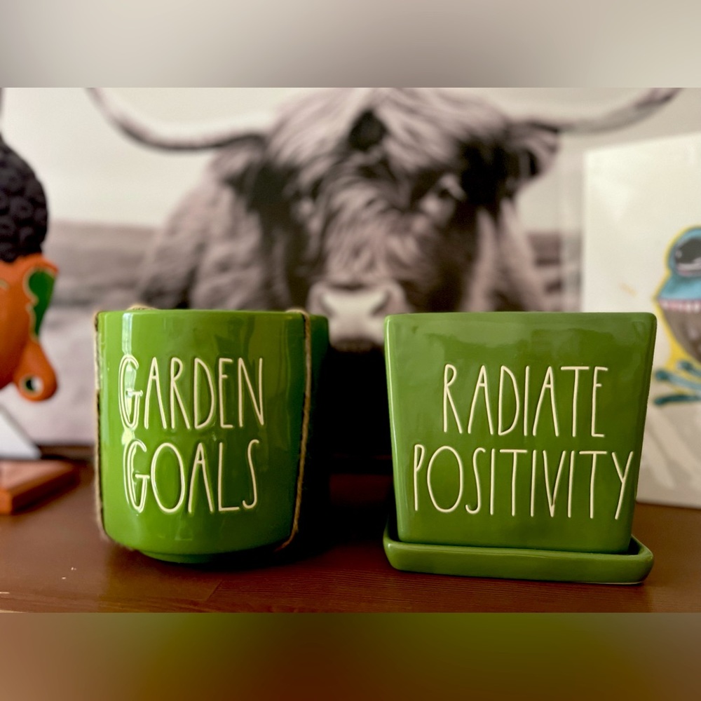 Rae Dunn plant planter